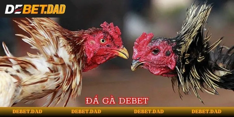 Khuyến mãi hoàn tiền 1% cho hạng I9bet, không giới hạn mức tối đa - I9bet