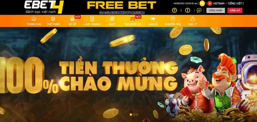 Xếp hạng D9bet: Sân chơi uy tín, mang lại nhiều lợi ích và an toàn - D9bet