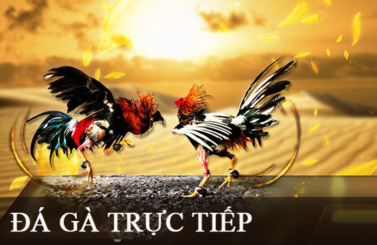 Liên kết truy cập Gg88 không bị chặn vào năm 2026 - Gg88