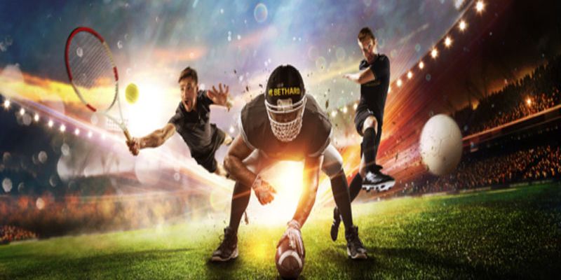 Kết luận chung của 8Xbet - 8Xbet