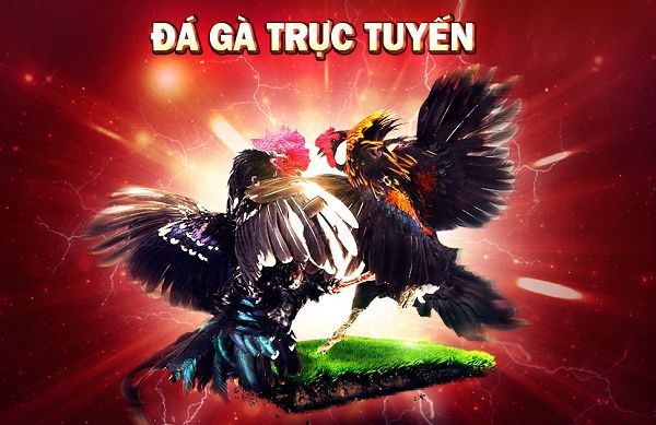 Ưu điểm và chức năng của ứng dụng Ga6789 - Ga6789