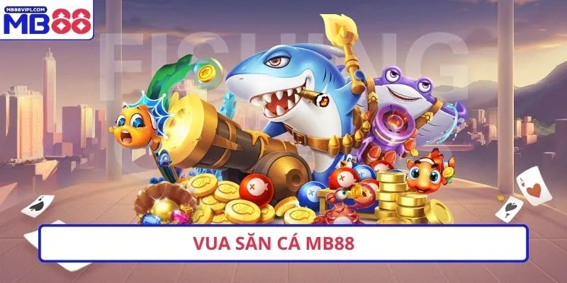5 nền tảng trực tuyến được xếp hạng 7Ball đáng tin cậy nhất năm 2026 - 7Ball