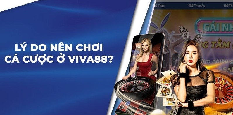 Hiểu cách Nbet88 thiết lập tỷ lệ cược - Nbet88