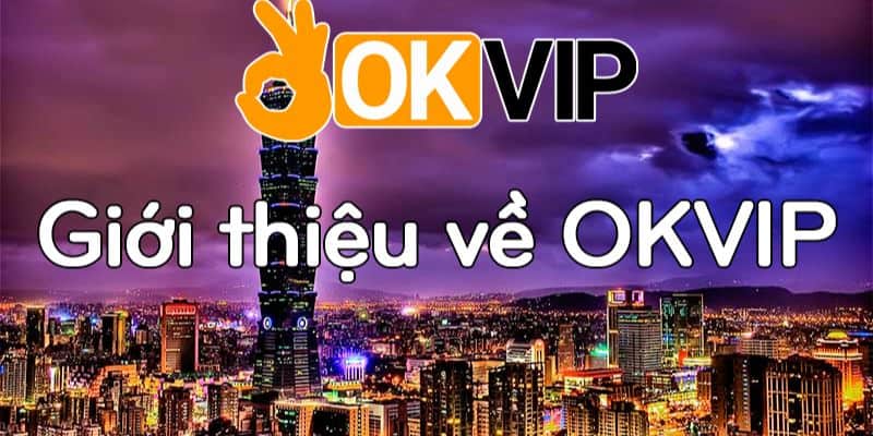 Phản hồi của người dùng về xổ số Mibet - Mibet